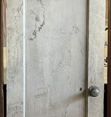 1 Panel Door - White